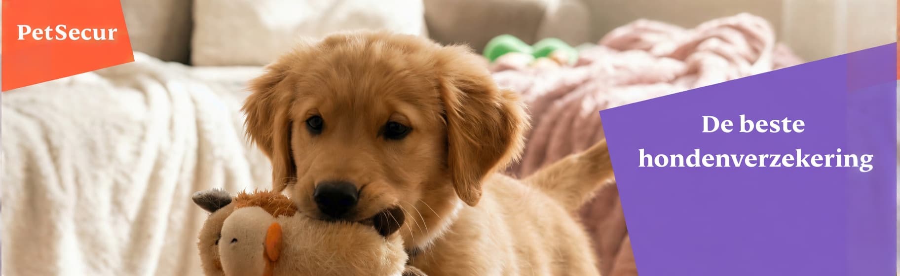 Petsecur banner