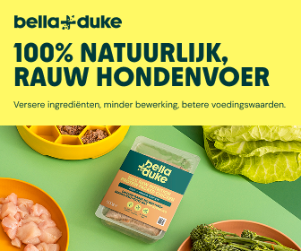 Hoeveel vers vlees voor hond per dag