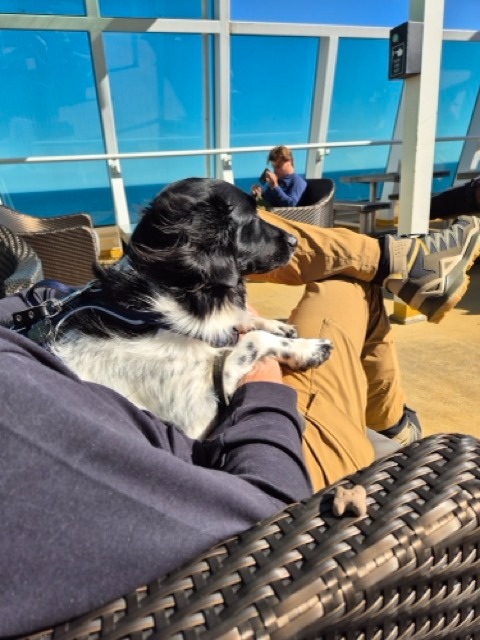 Boot naar Noorwegen met hond