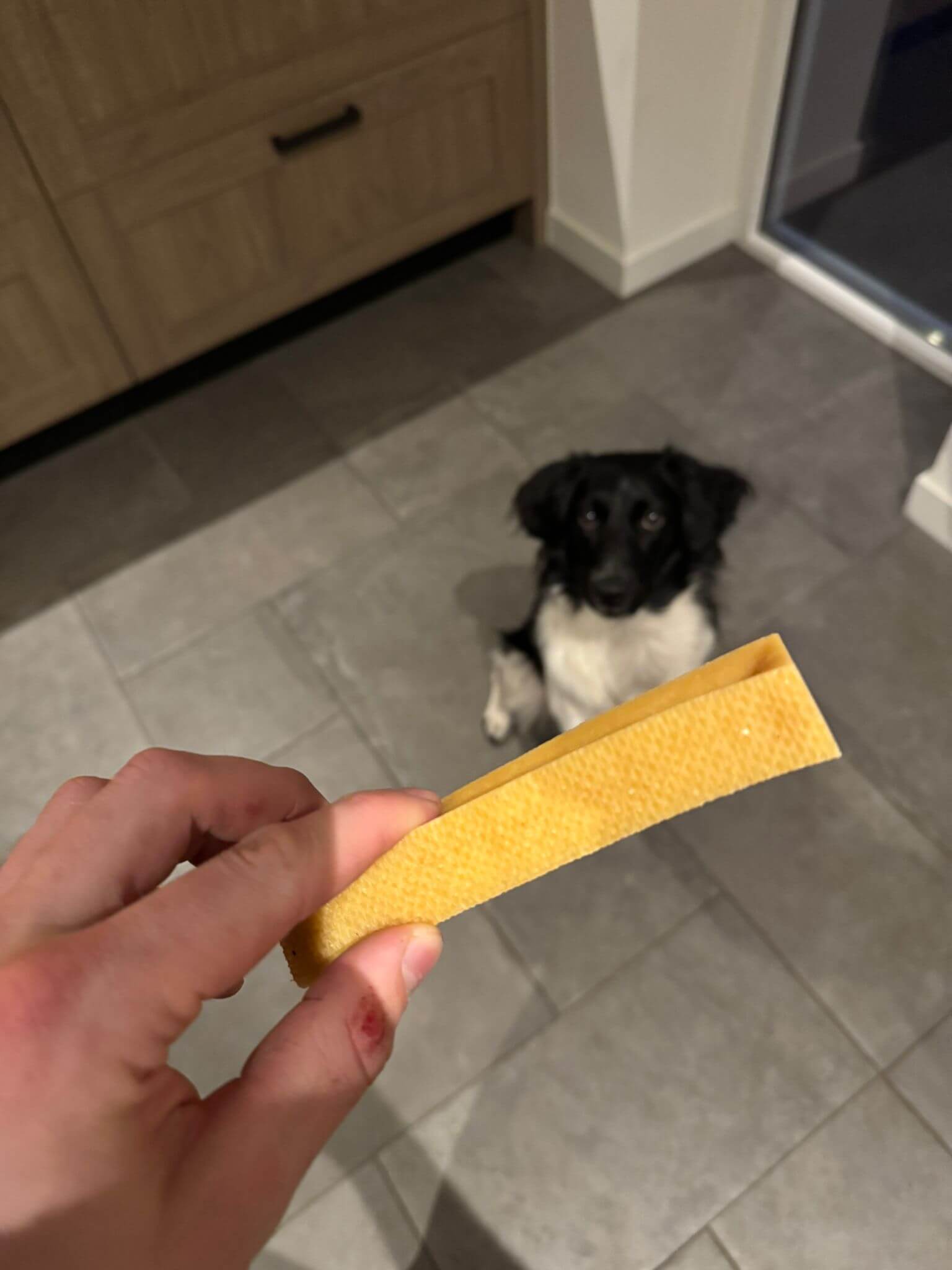 Wagging yak kaas stick