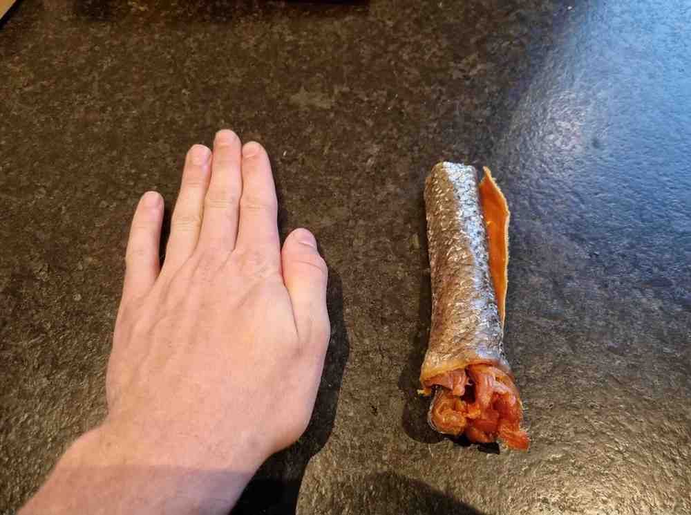 Zalm vleeshuid 