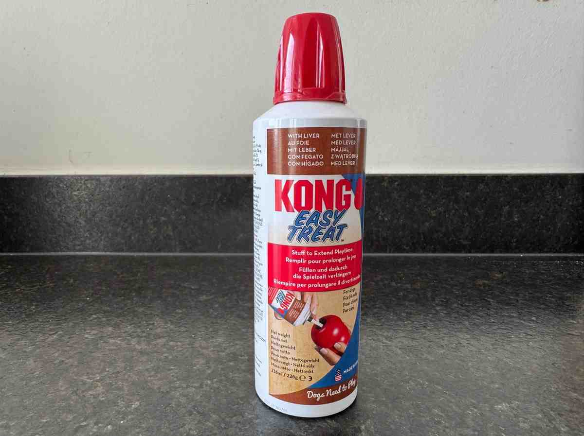 KONG easy treat