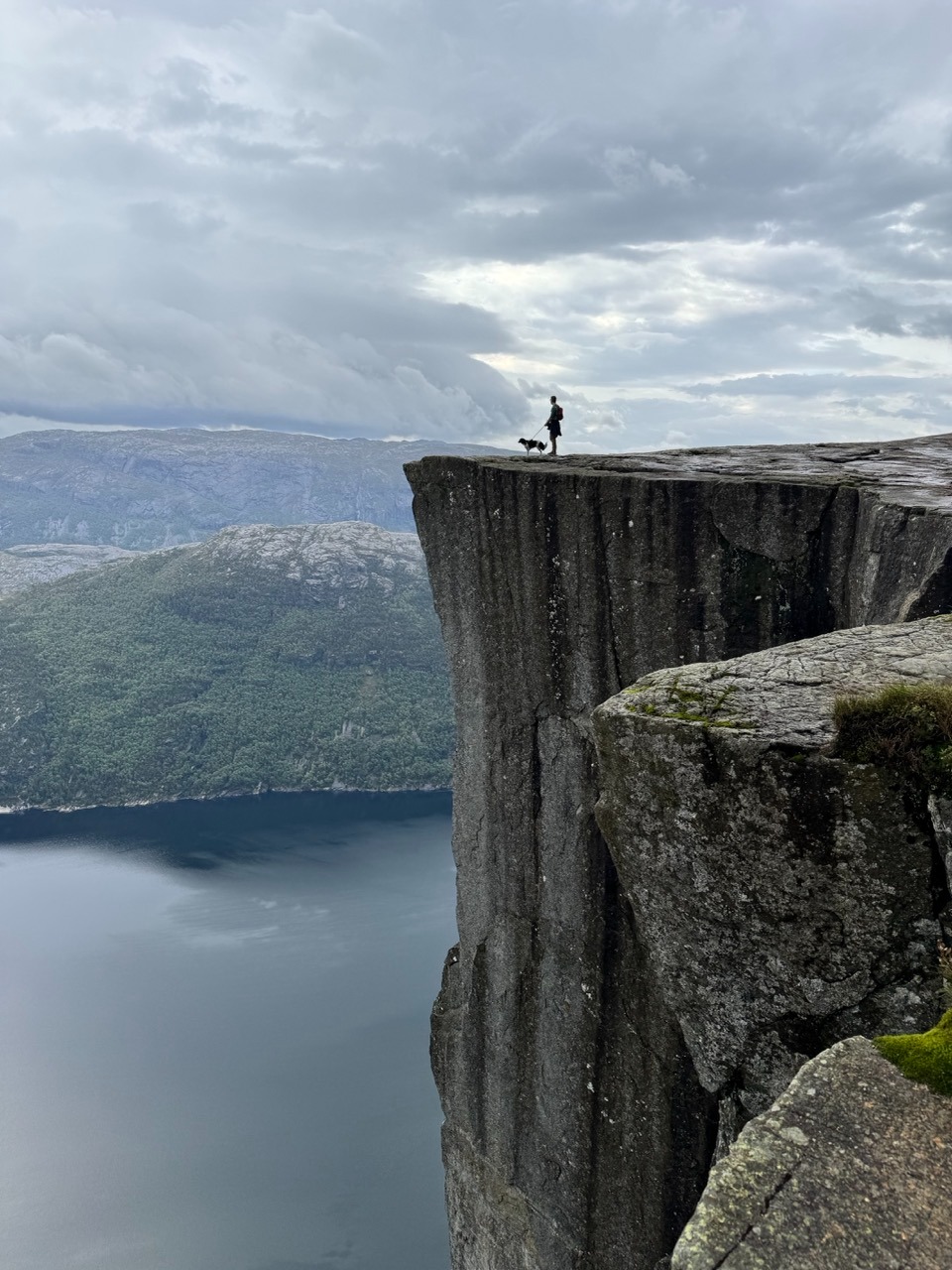 Preikestolen hike met hond