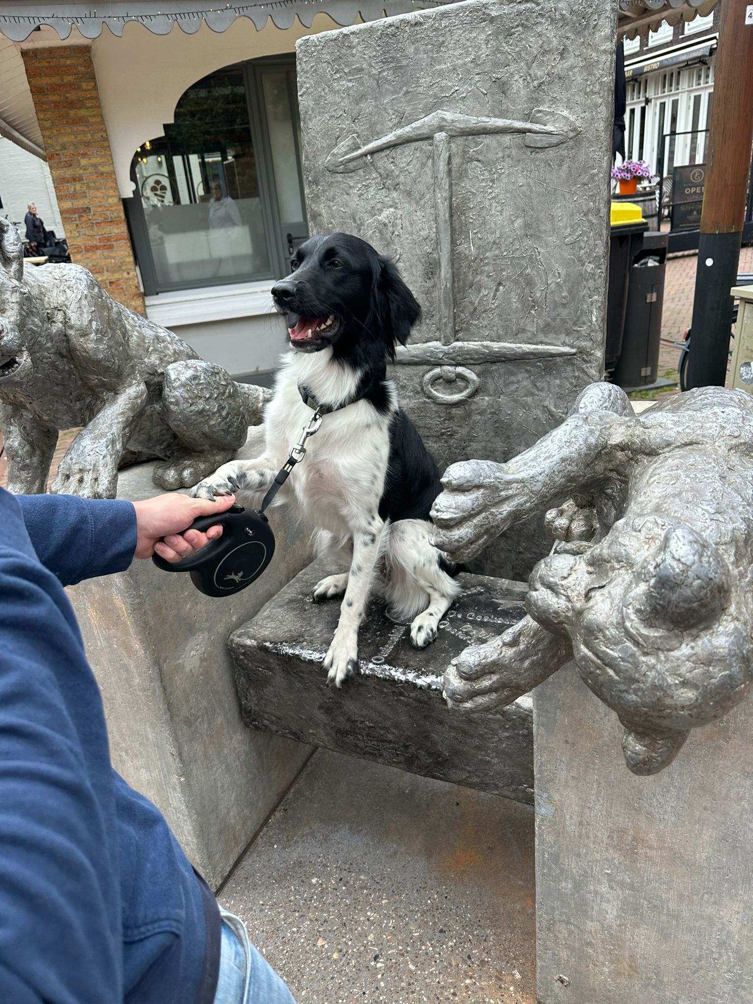 Vakantie Texel met hond